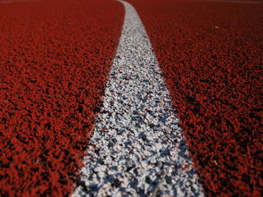 九游网页版官网入口-田径项目专项训练成效显著，田径专项体能训练